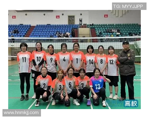 南京排球队团队协作深度解析与其他球队的对比研究