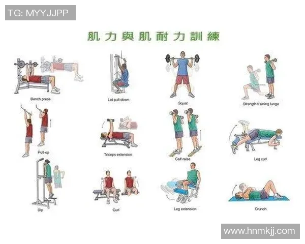 北京乒乓球队耐力对比深度解析与训练方法探讨