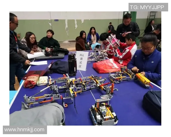 张帆：在时代潮流中追寻梦想与坚持的旅程